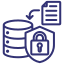 Compliance & Data Security Icon